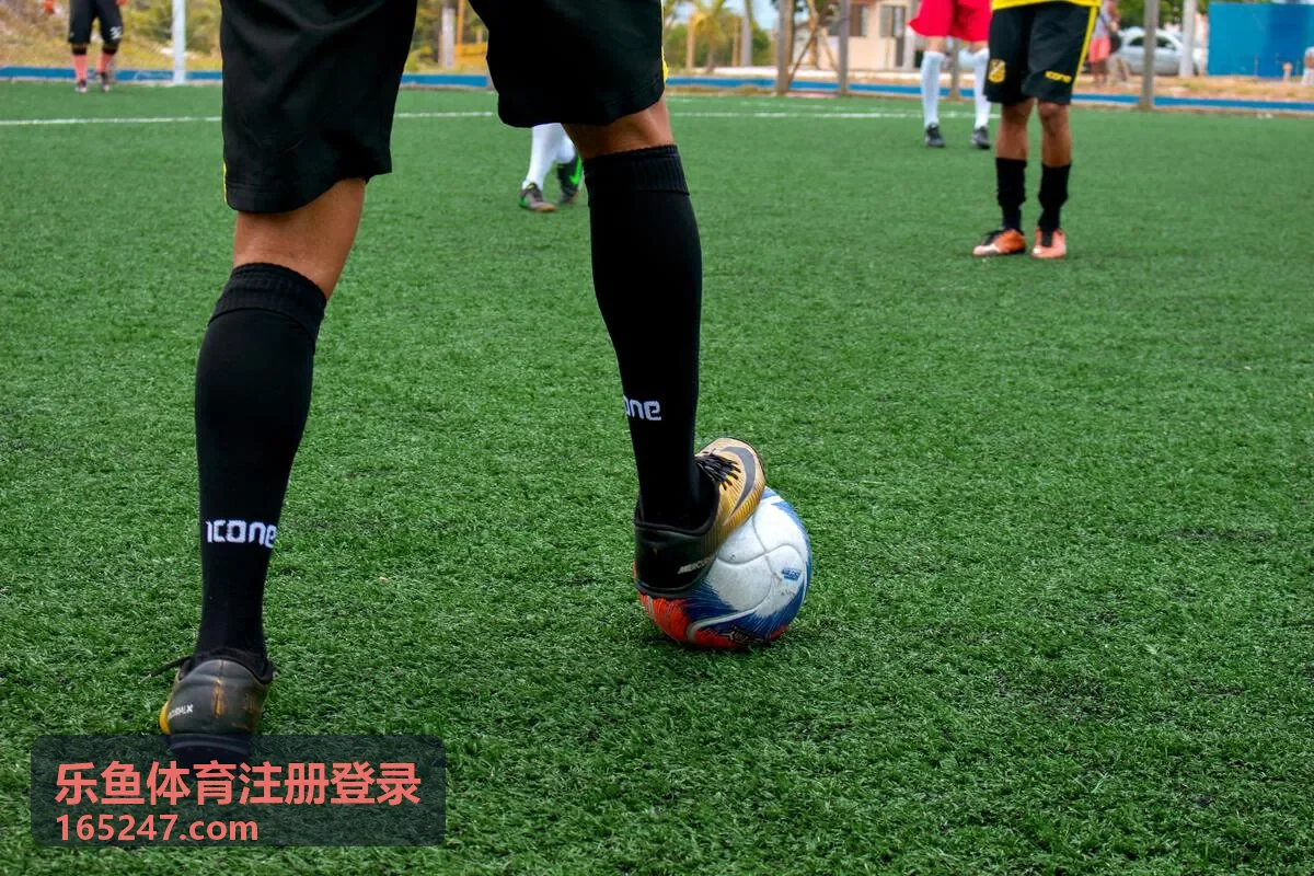 欧冠淘汰赛精彩集锦 乐鱼体育